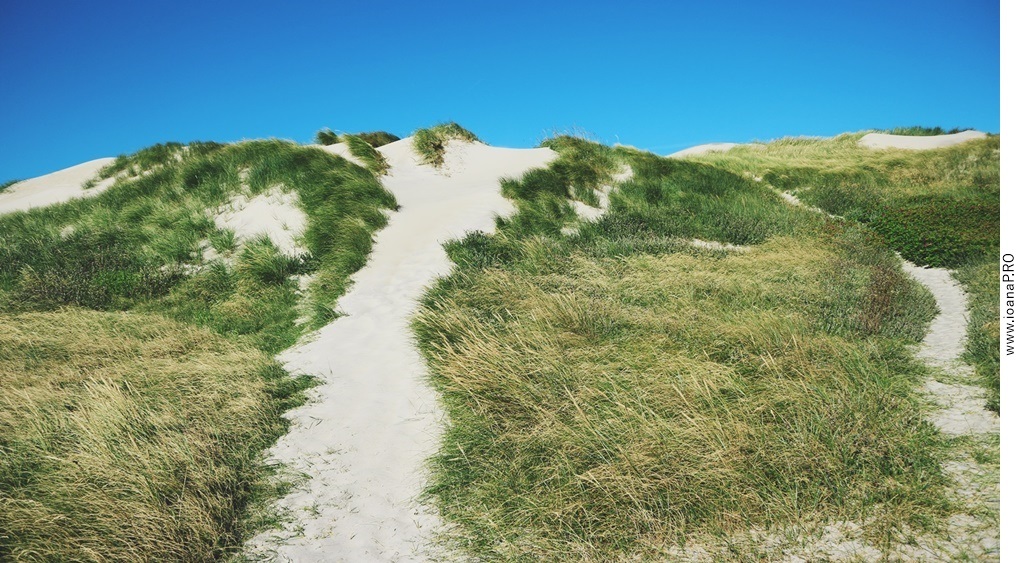 sand dune in Søndervig Denmark